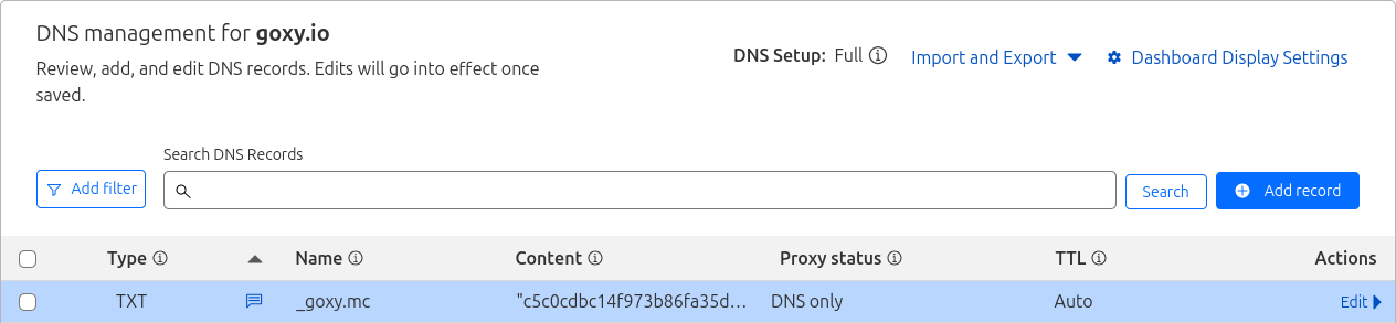 Widok listy rekordów z właśnie dodanym rekordem
